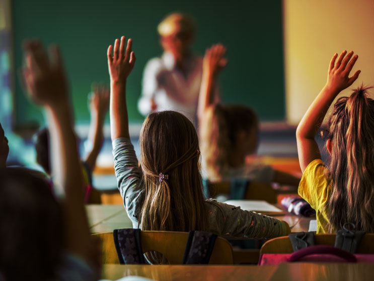 Back view of elementary students raising their arms on a class.