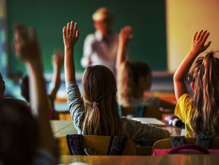 Back view of elementary students raising their arms on a class.