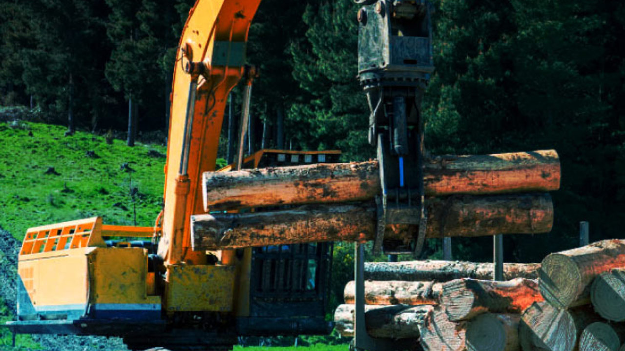 Forestry yellow digger grabbing two logs for processing.