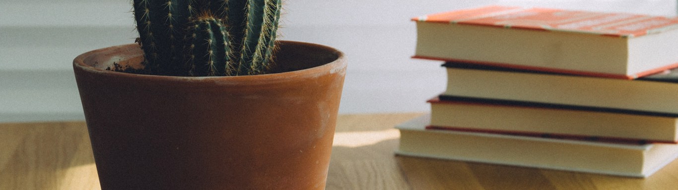 A plant with books